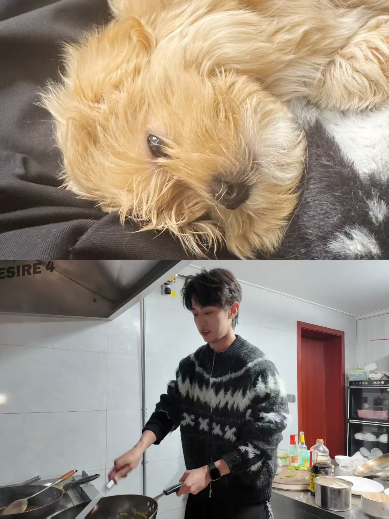 是妈妈的怀抱吗 
