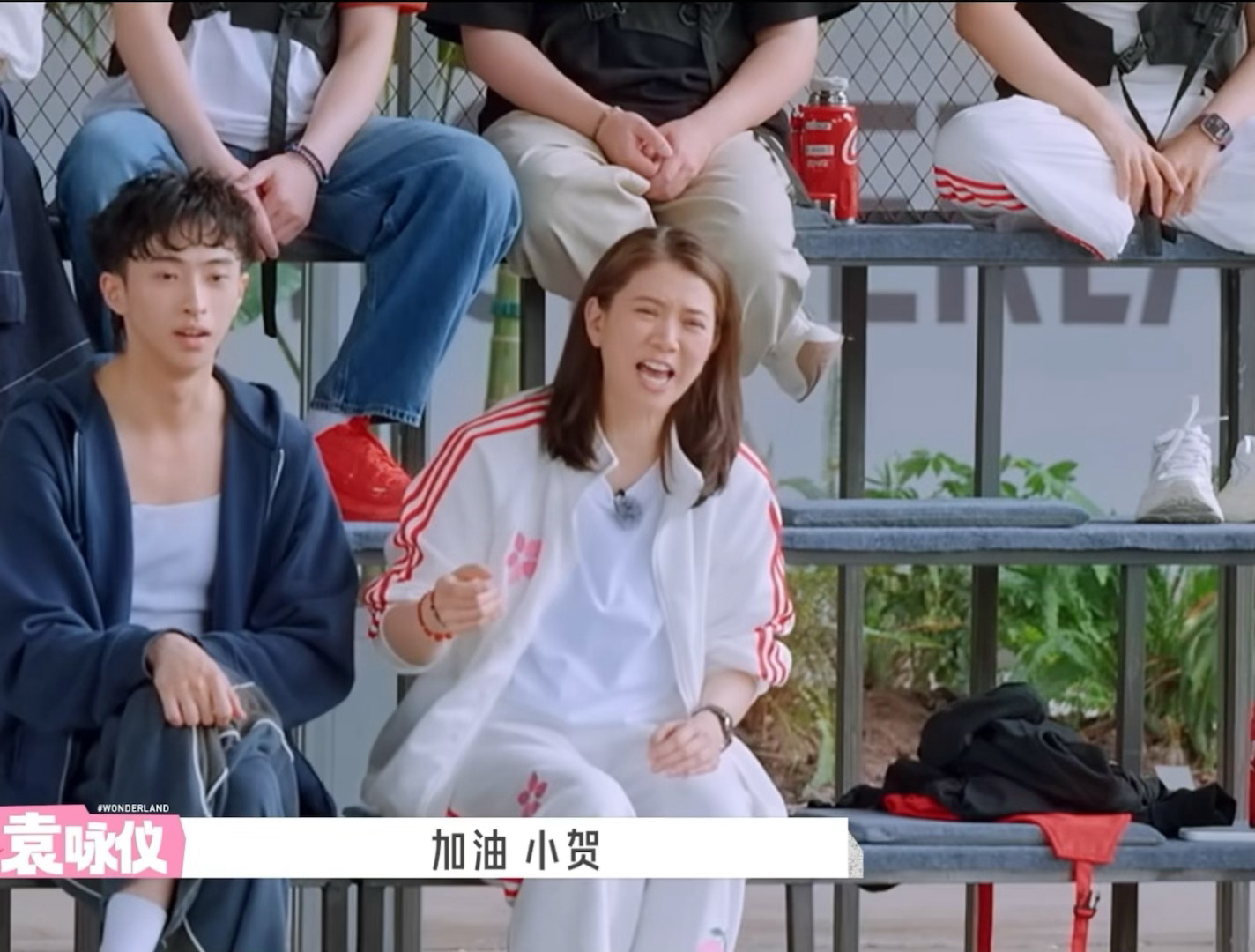 心肝跟恶势力作斗争 我：贺峻霖五十公里桃花坞6