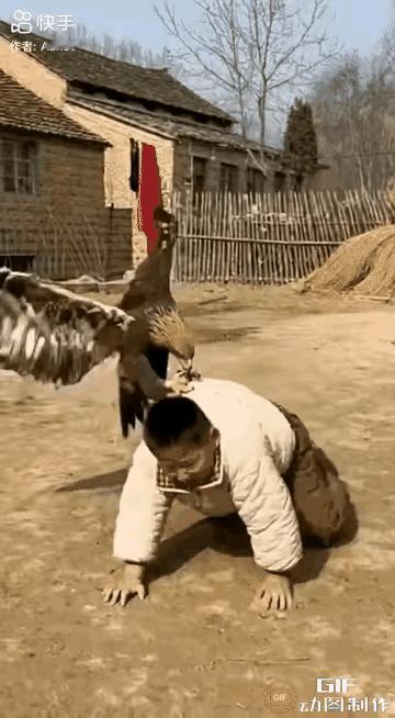 是不是Ai作品？不然谁顾得上拍呢？