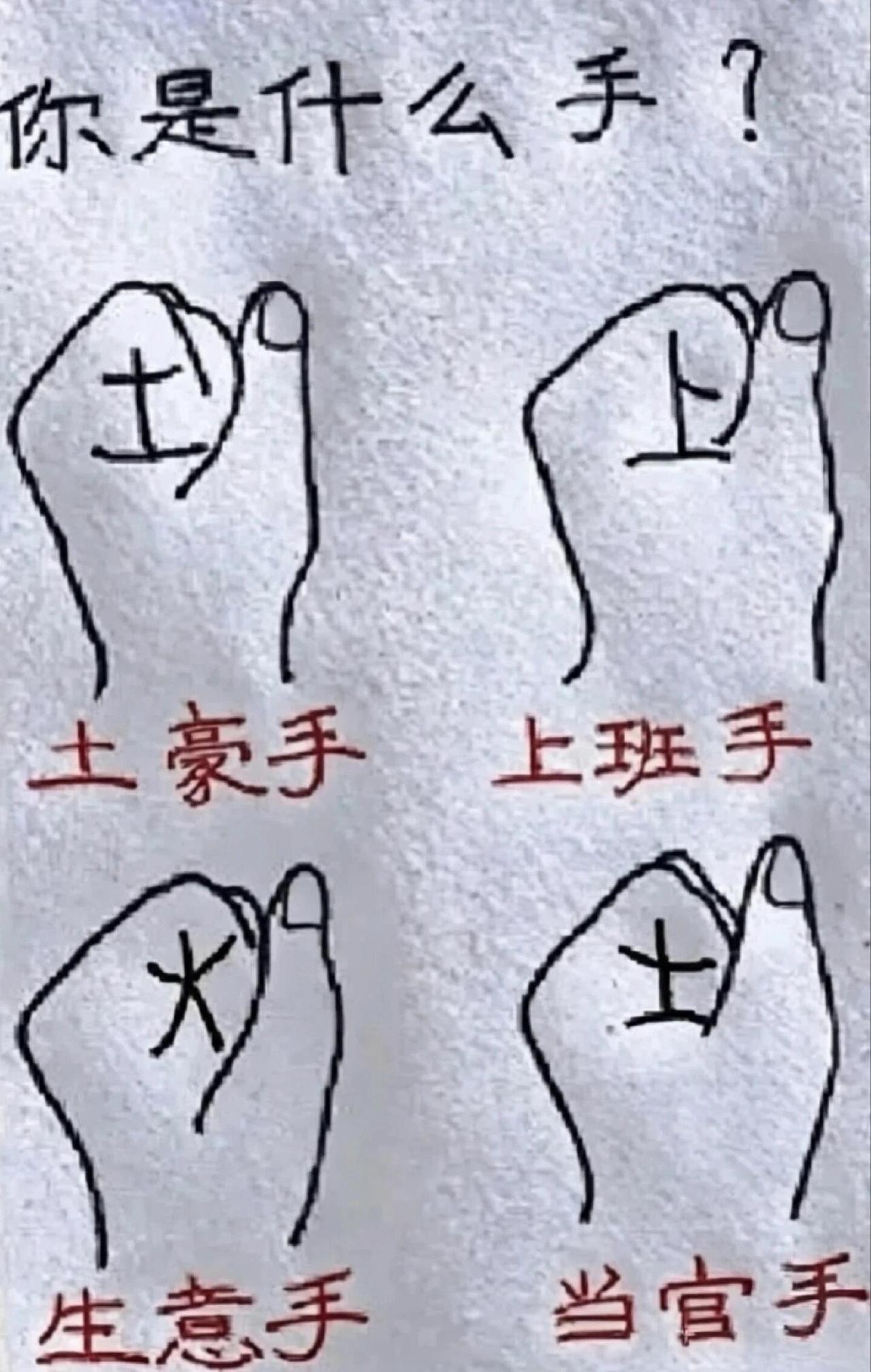 你们是哪种类型的手？我握起来是“土”字。