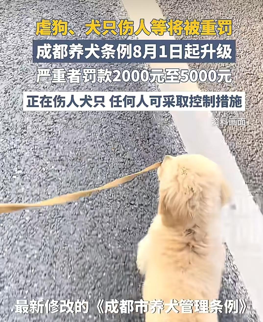 成都这次养狗新规，值得点赞！首先每户只能养一只狗，残疾人服务犬除外！第二严禁随意