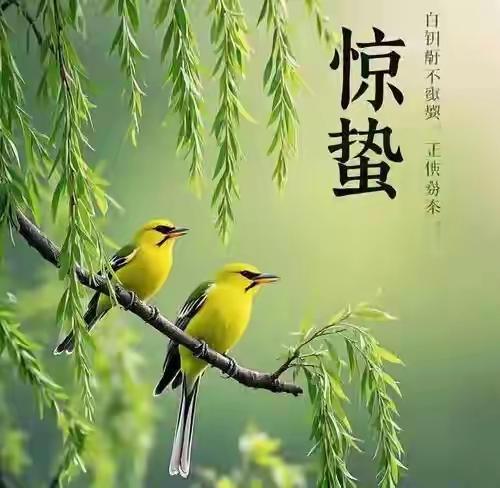 上联   一条河，两岸树
下联   双鸳鸯，个戏水