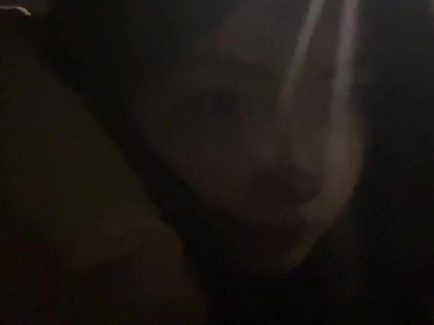 livephoto 情绪零碎 白羊座 原相机live