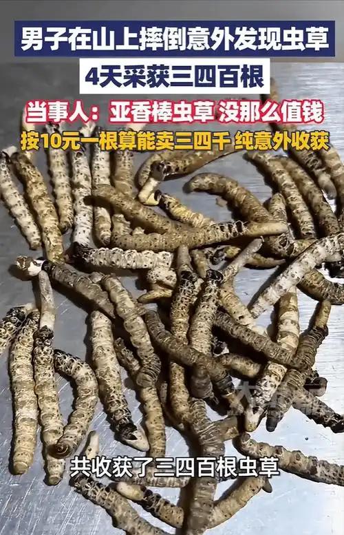 摔一跤还能赚外快？2月5日贵州开阳这位大哥的遭遇，简直把“好运从天降”给具象化了