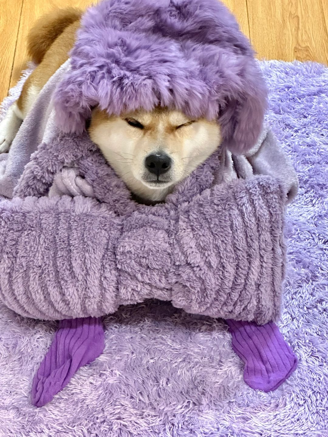 妹妹说紫色很有韵味