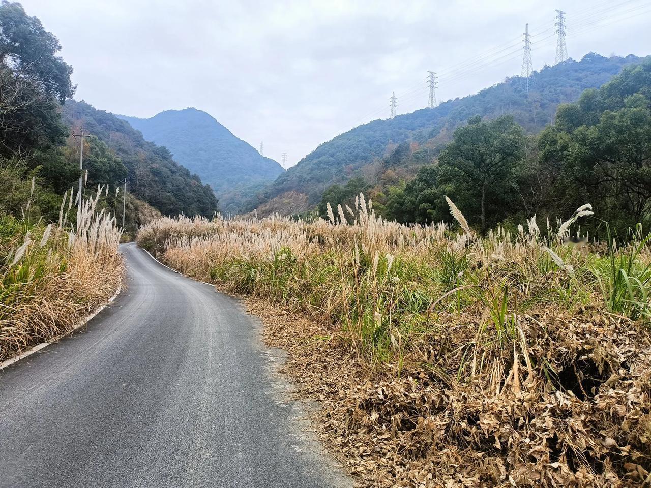 春日生活打卡季