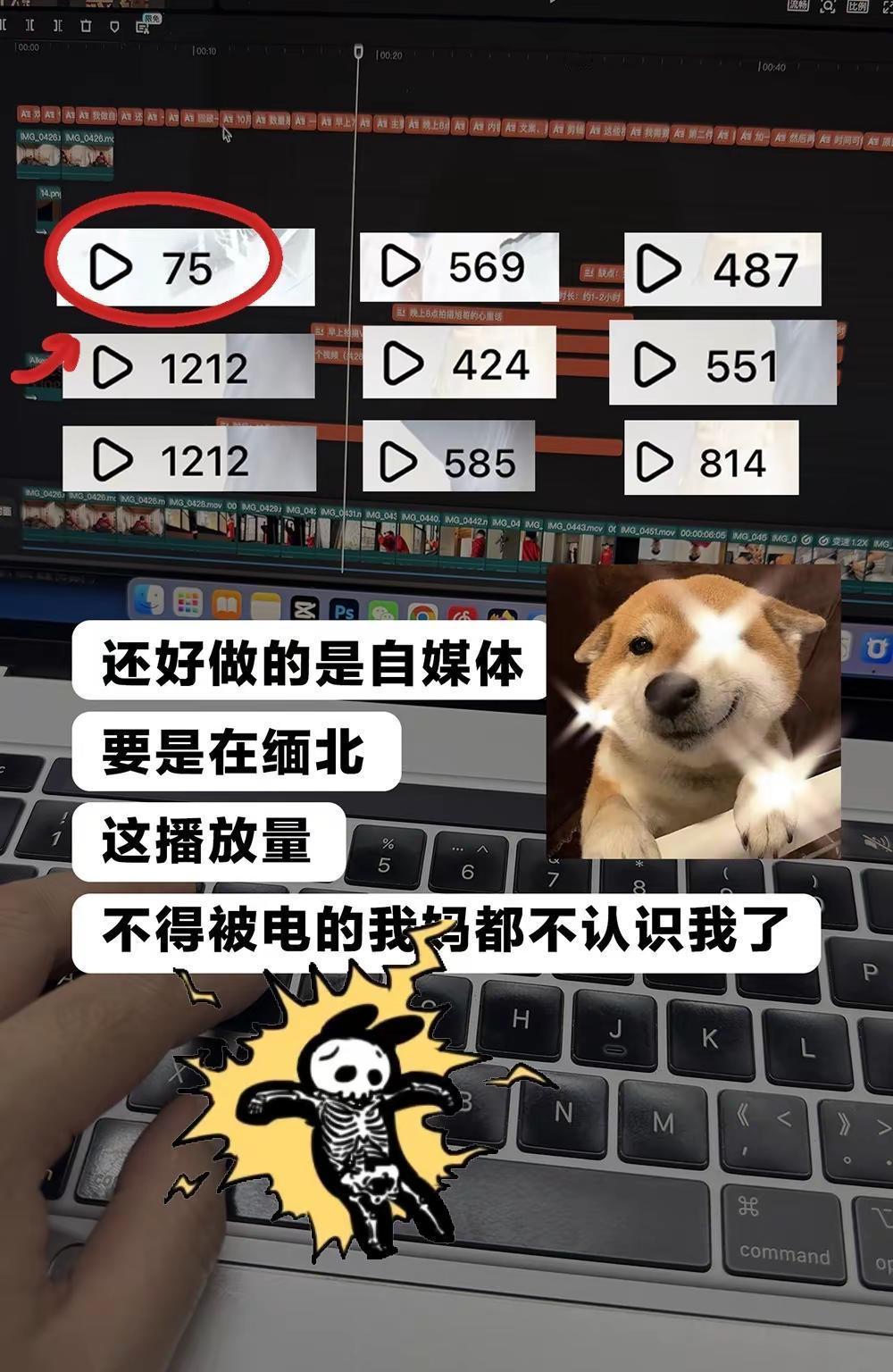 自媒体狗都不做，狗不做，我做。自媒体