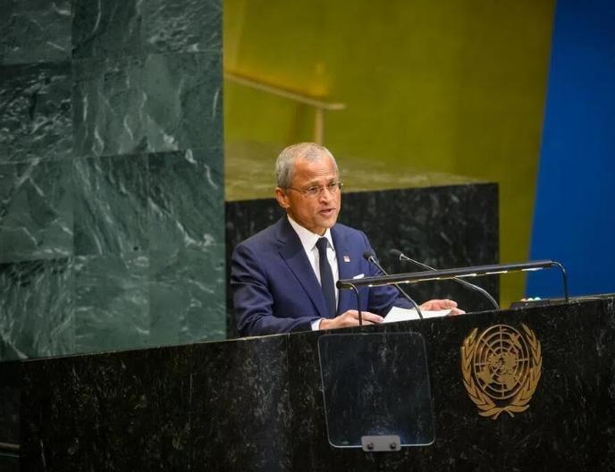 中方行使否决权，新加坡称感到失望，新国大使：应该取消一票否决
 
2026年4月