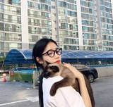 春锁热品娱乐
