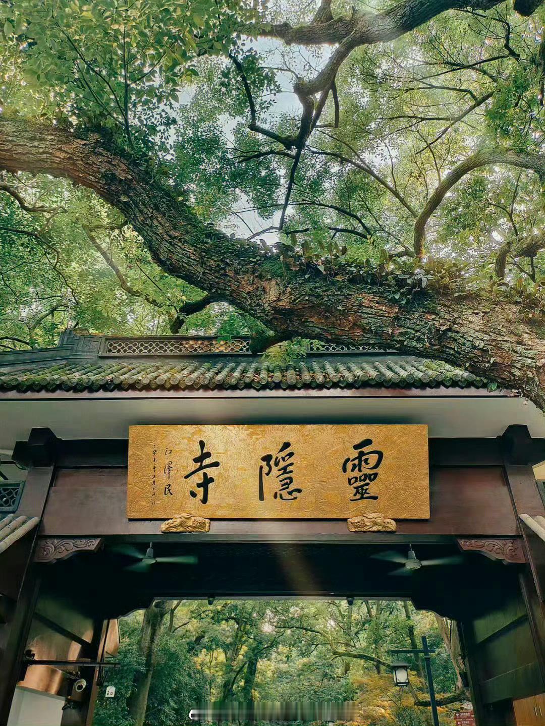 灵隐寺 刷到灵隐寺请不要无视，真的很灵 