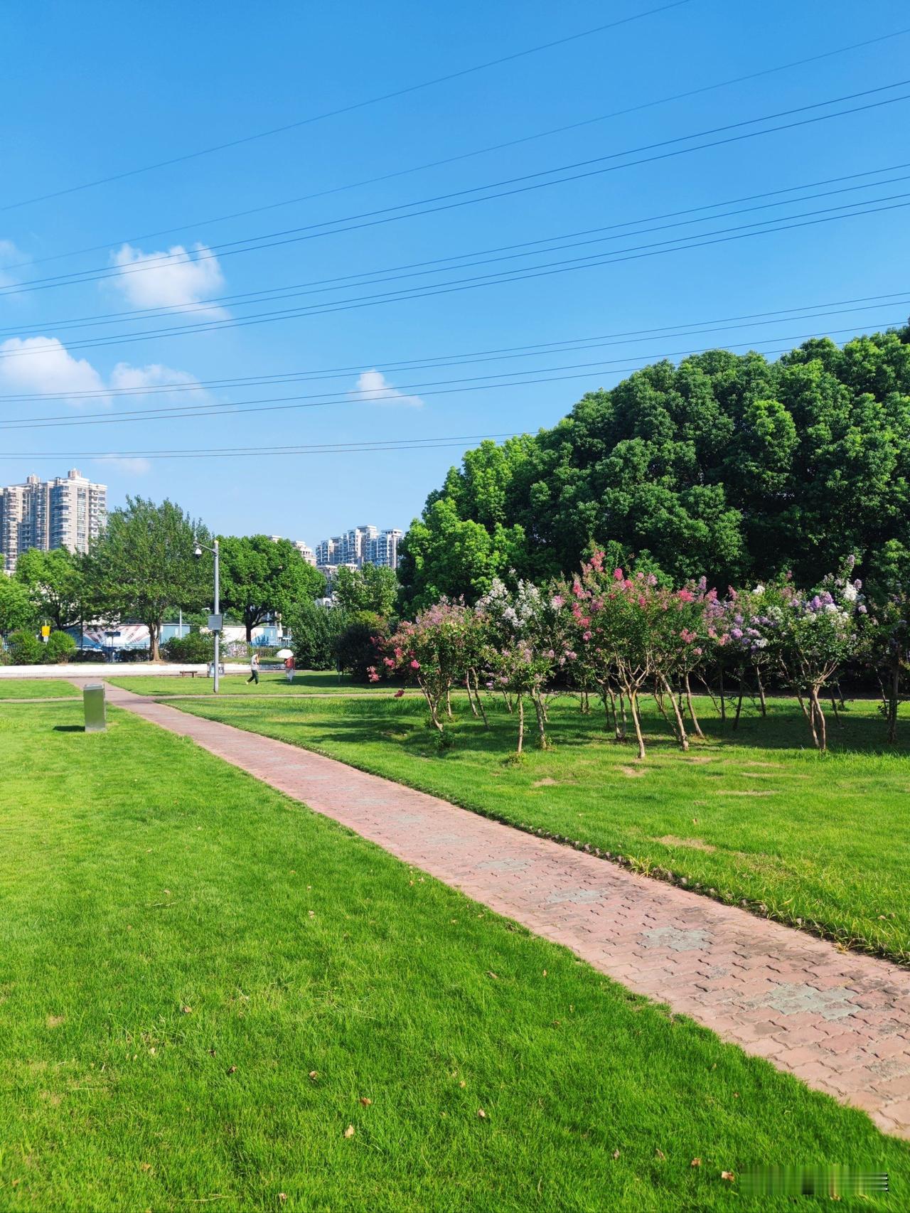 早起散步，才发现城市藏着温柔
 
清晨六点，避开车流与人潮，沿着街边慢慢散步。