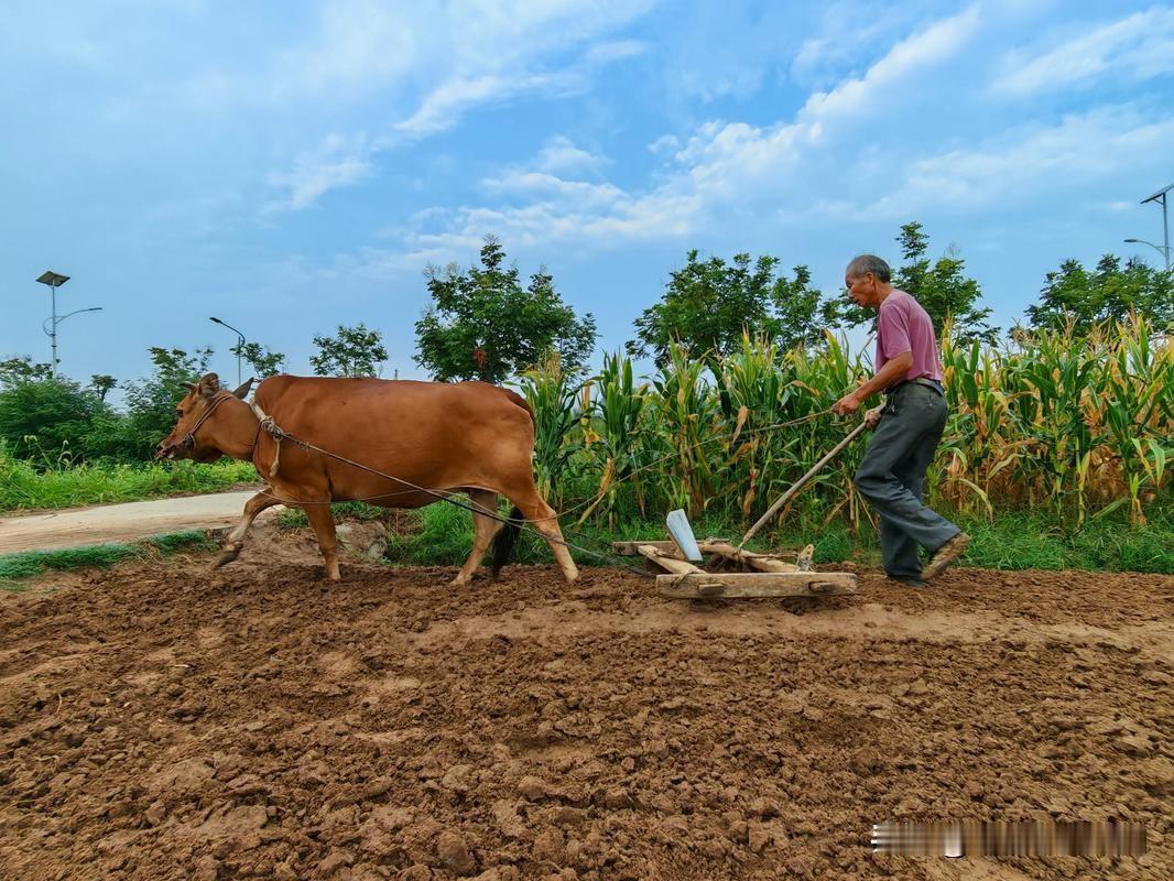 这首顺口溜太扎心！道出了多少普通人的无奈与心酸！

朝中有人好做官
家有好狗门不