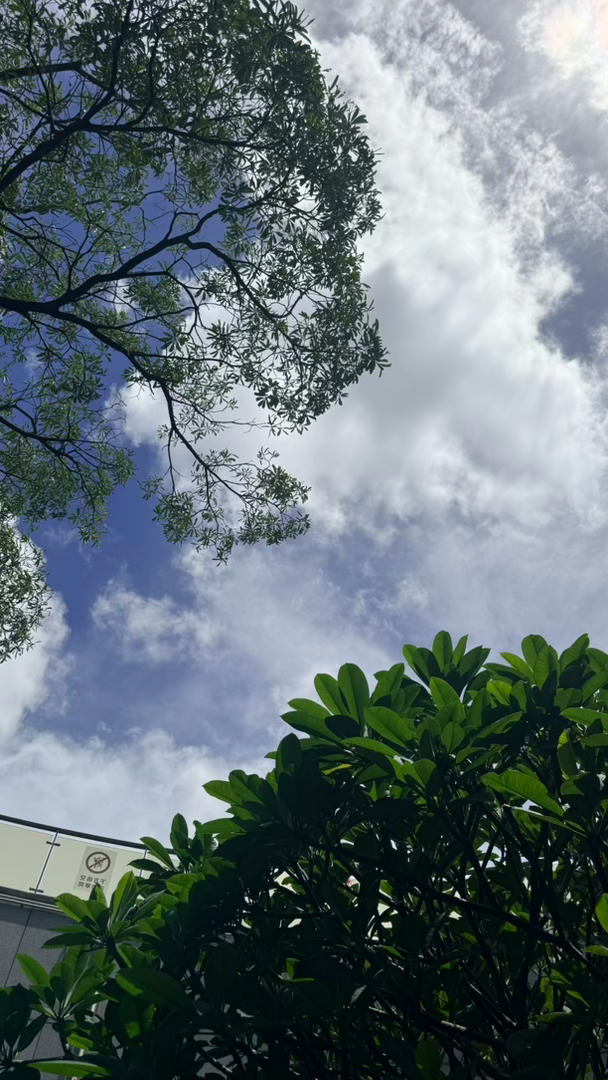 几张随手拍，都能体感热浪，夏天属实热气腾腾～ 