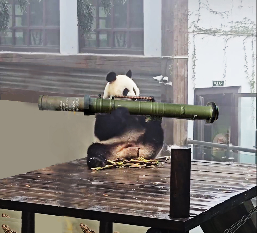 功夫熊猫苦练反坦克技能 ​​​