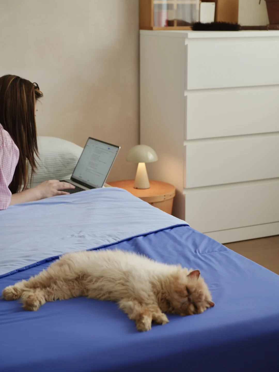 🫧🥣和咪的第一个凉感夏日，感受清凉