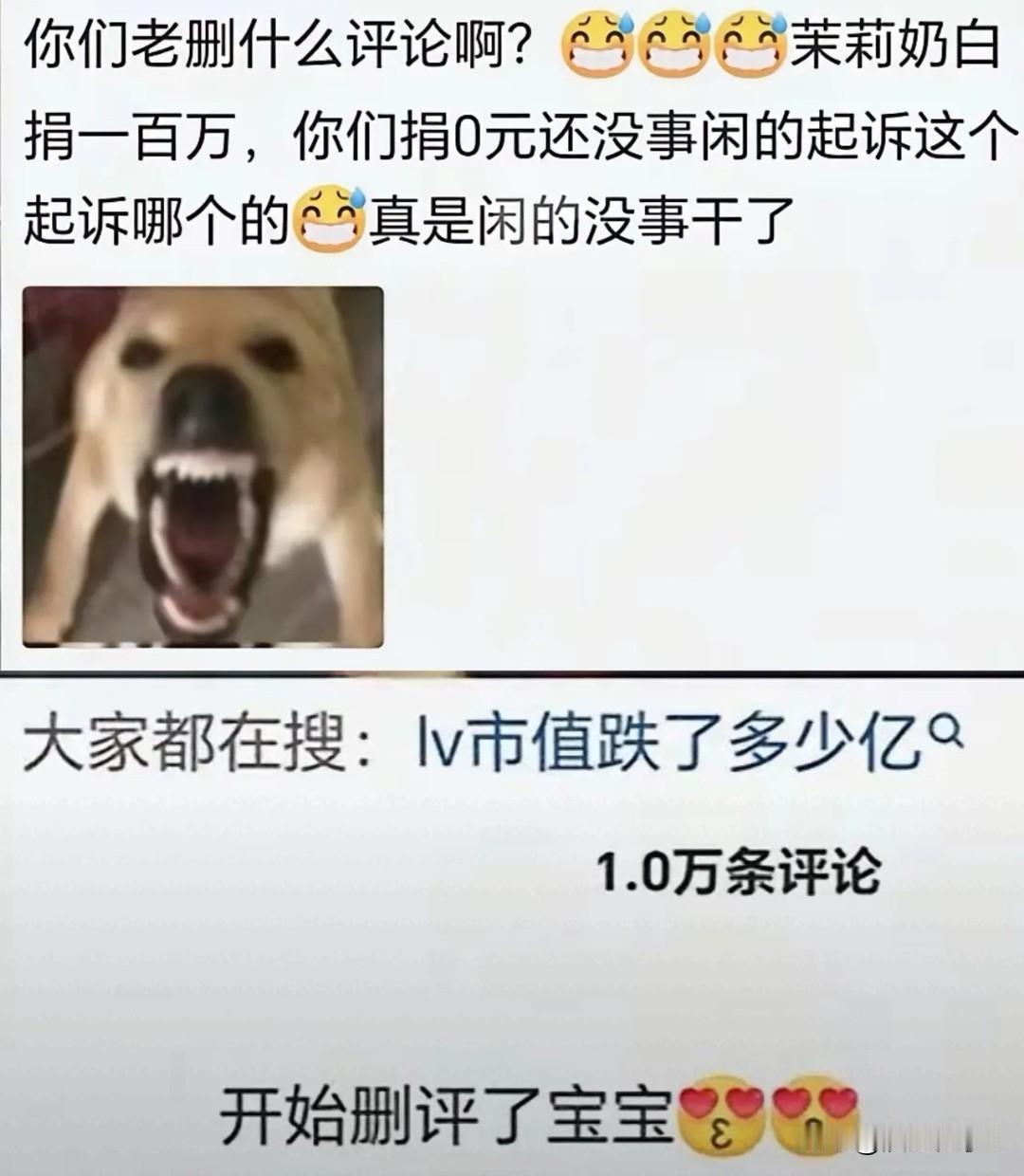 删评回避救灾问询，戳商业社会责任底线共鸣
 
LV面对大众救灾问询批量删除评论区