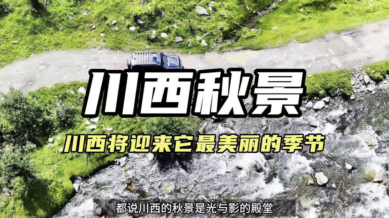 ✨川西的秋景是光与影的殿堂，视觉的盛宴，打翻的调色盘，更被称之为摄影家爱好的天堂
