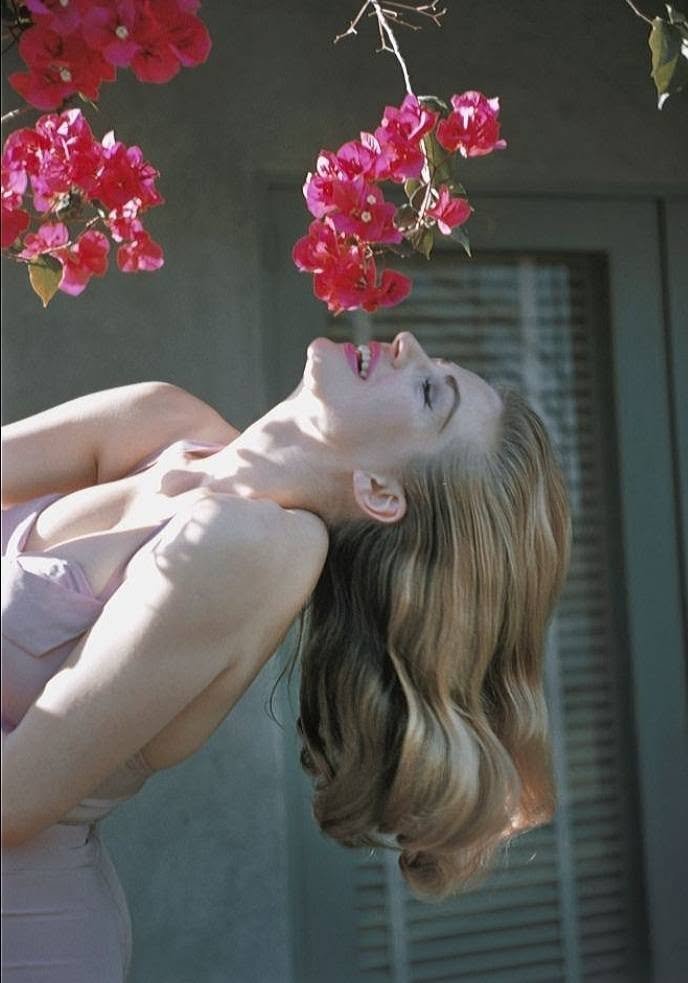 Anita Ekberg，1956 