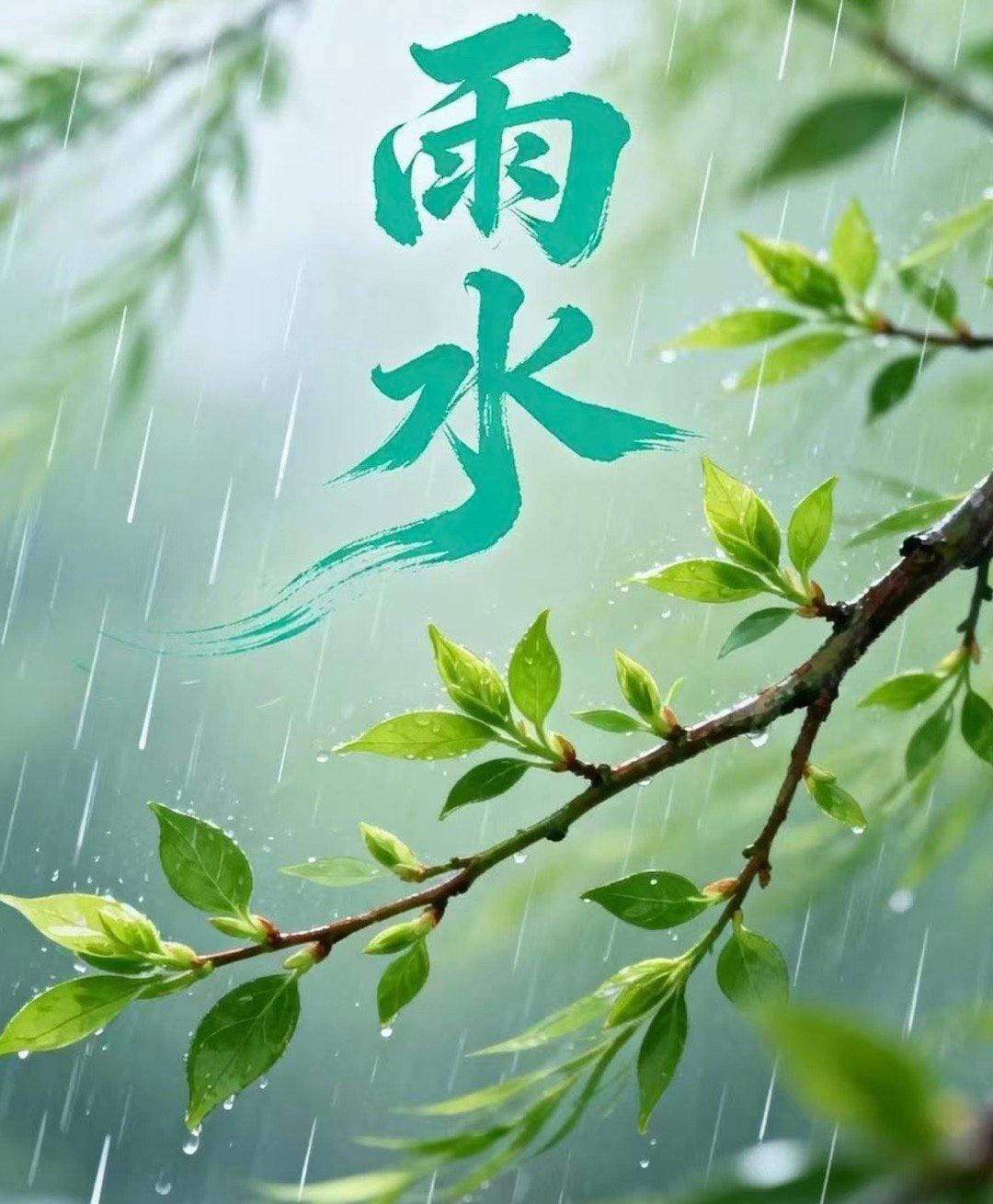 雨水节气，降雨开始，雨量逐渐增多，似乎暂时不会下雨，只是昼夜温差大，像是反复的温