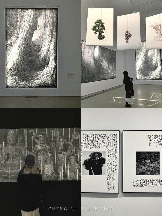 成都新展！黑白影调⚫️⚪️东方美学摄影展！巨美