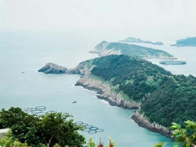 守好台州大陈岛这片蓝让碧海银滩变金山银山 揭牌！大陈岛生态保护迎来专职管家，全省