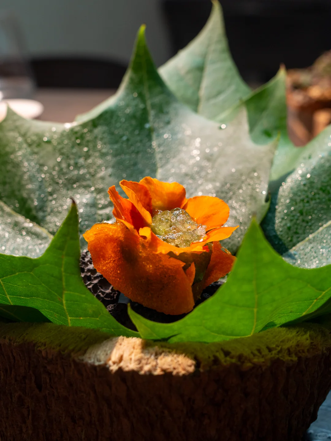 北京｜三里屯米其林一星的植物料理·兰斋