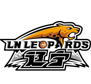 辽宁队尴尬了，季后赛12支球队里辽宁队成为唯一没有任何奖项的球队！

今年季后赛