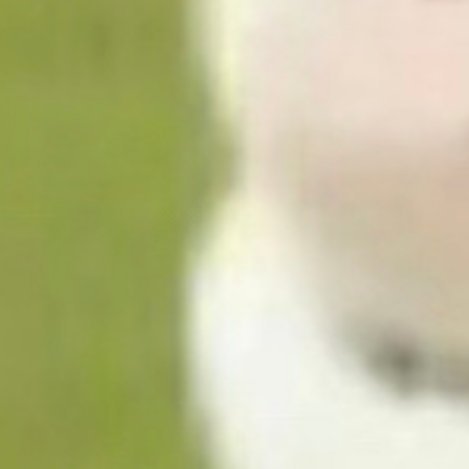 0000种植猕猴桃的步骤主要包括以下几个方面：1. 园地选择猕猴桃根系肉质化，特