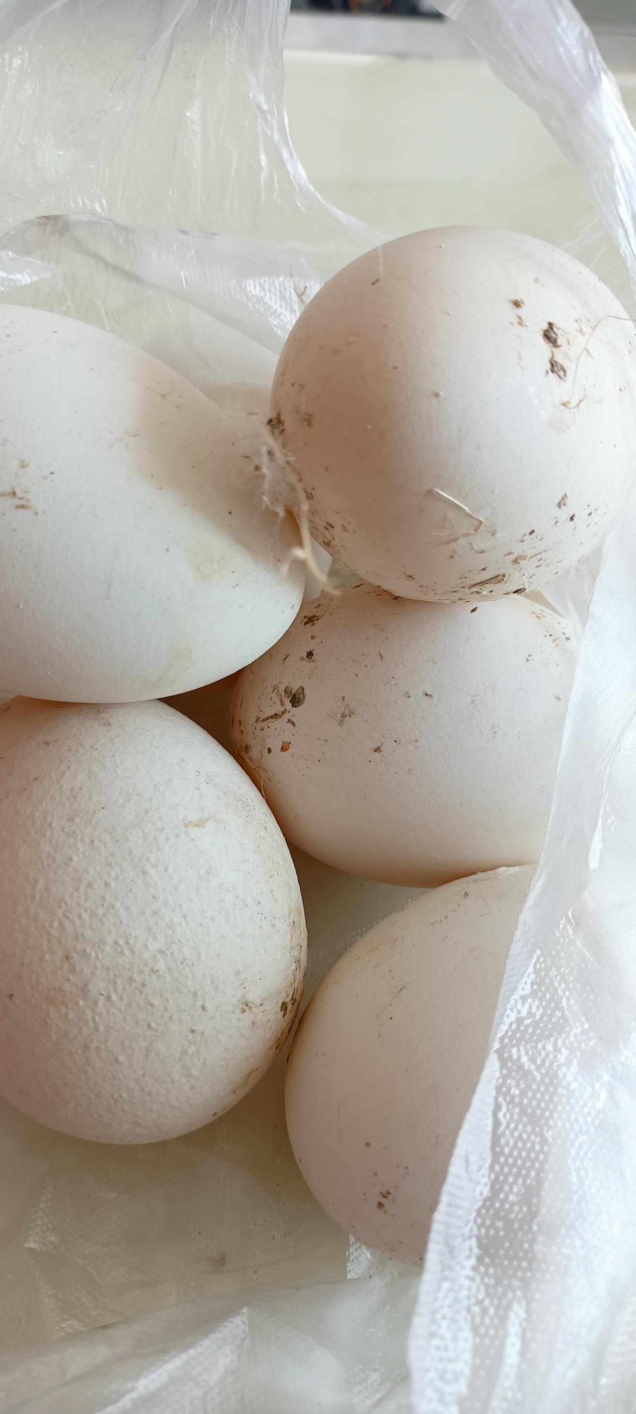 没有春风换不来秋雨，任何关系都是相互的！
不是自夸，我这人不见得特别好，但绝对也