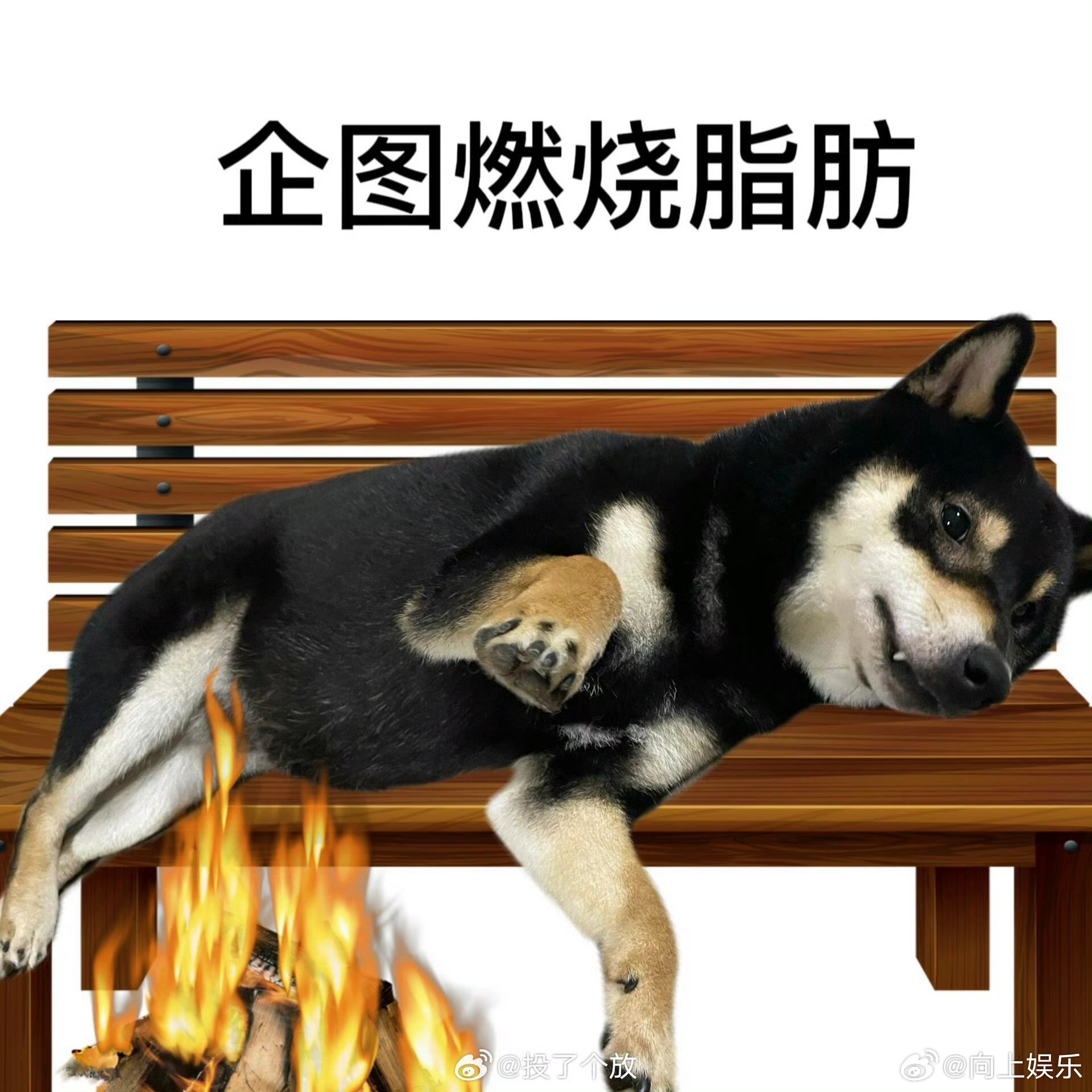 这就是大学生多吃不胖的原因吧 我终于让我找到大学生多吃不胖的原因了，年轻人新陈代