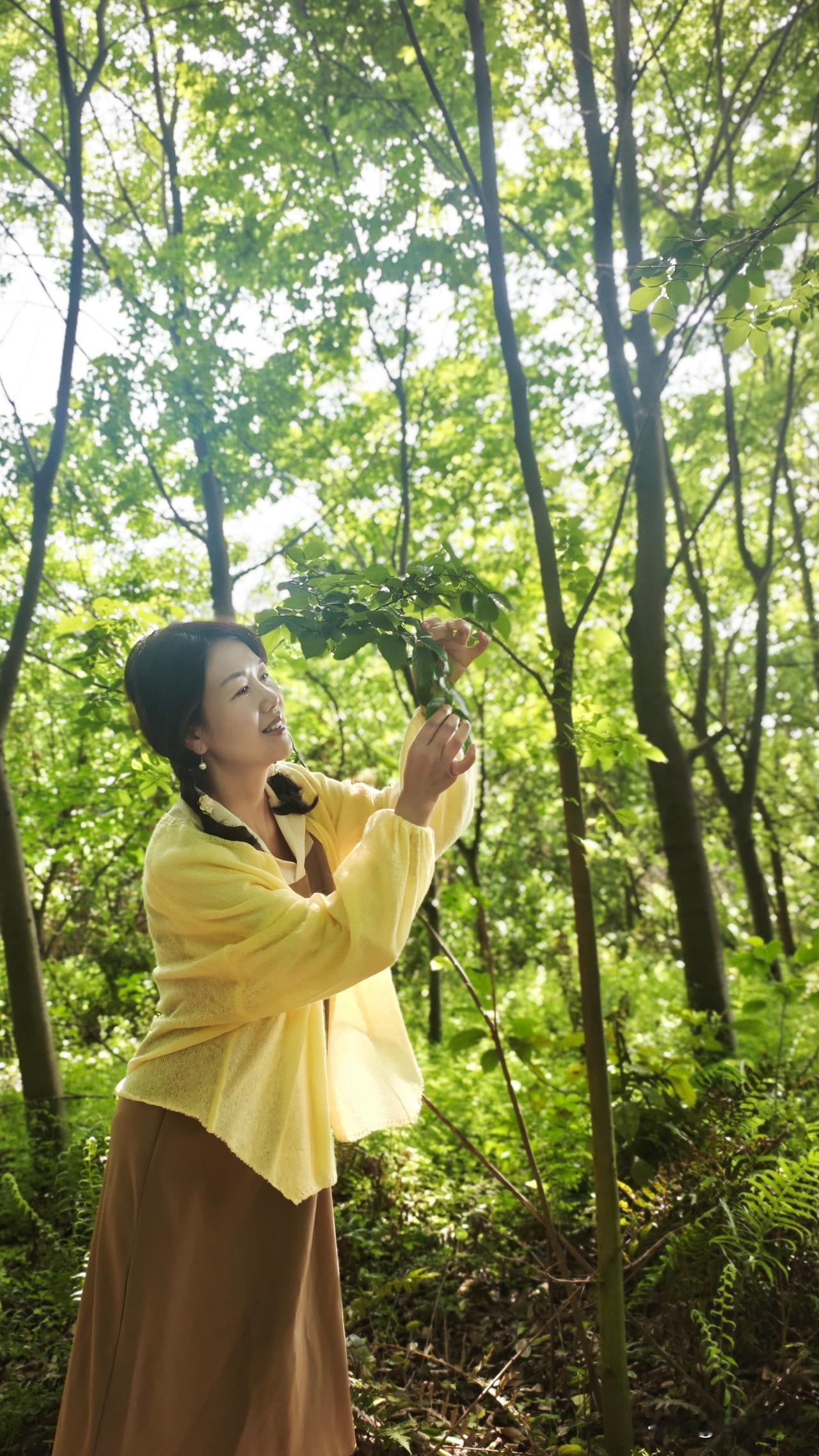 阳光像碎钻一样，从树顶洒落下来，使林间的绿意充满了光彩和活力。
50万年以后，太