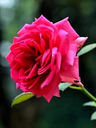 活成自己喜欢的样子，才是人生顶级活法
 
咱们活一辈子，真的没必要太在意别人怎么