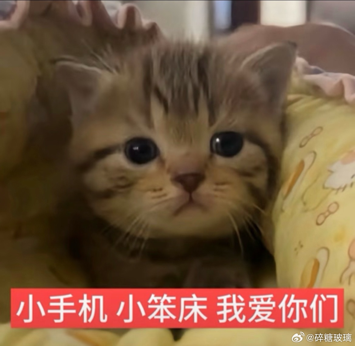 太好了 刷到了朱志鑫休假时的房间监控 ​​​