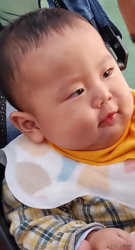 难道真有耳垂富贵相？难道小孙子的耳朵真的生得好？

第一次看小孙时，就被他毛茸茸