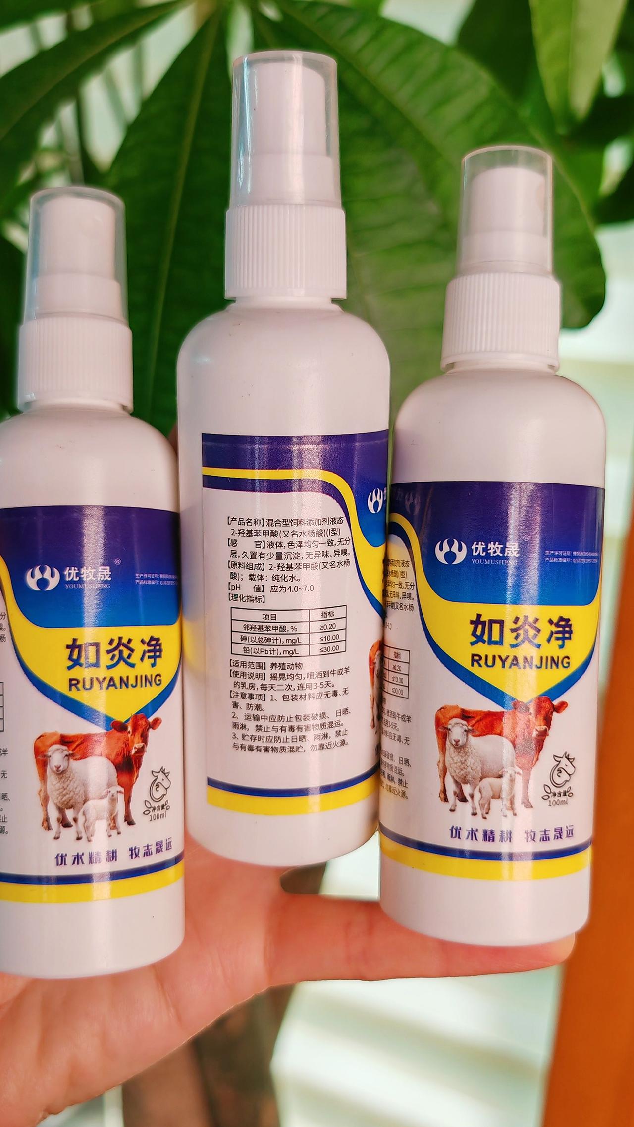 养羊人 农村养羊 牛羊养殖