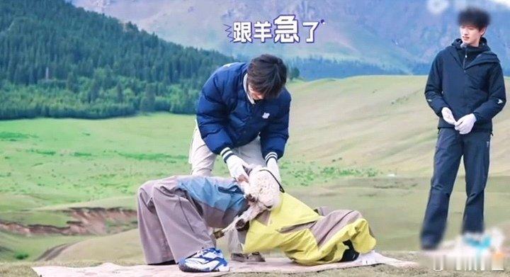 苏新皓和小羊有点暧昧了苏新皓放开小羊让我来小羊趴得明白吗，放开小羊让我来 ​​​
