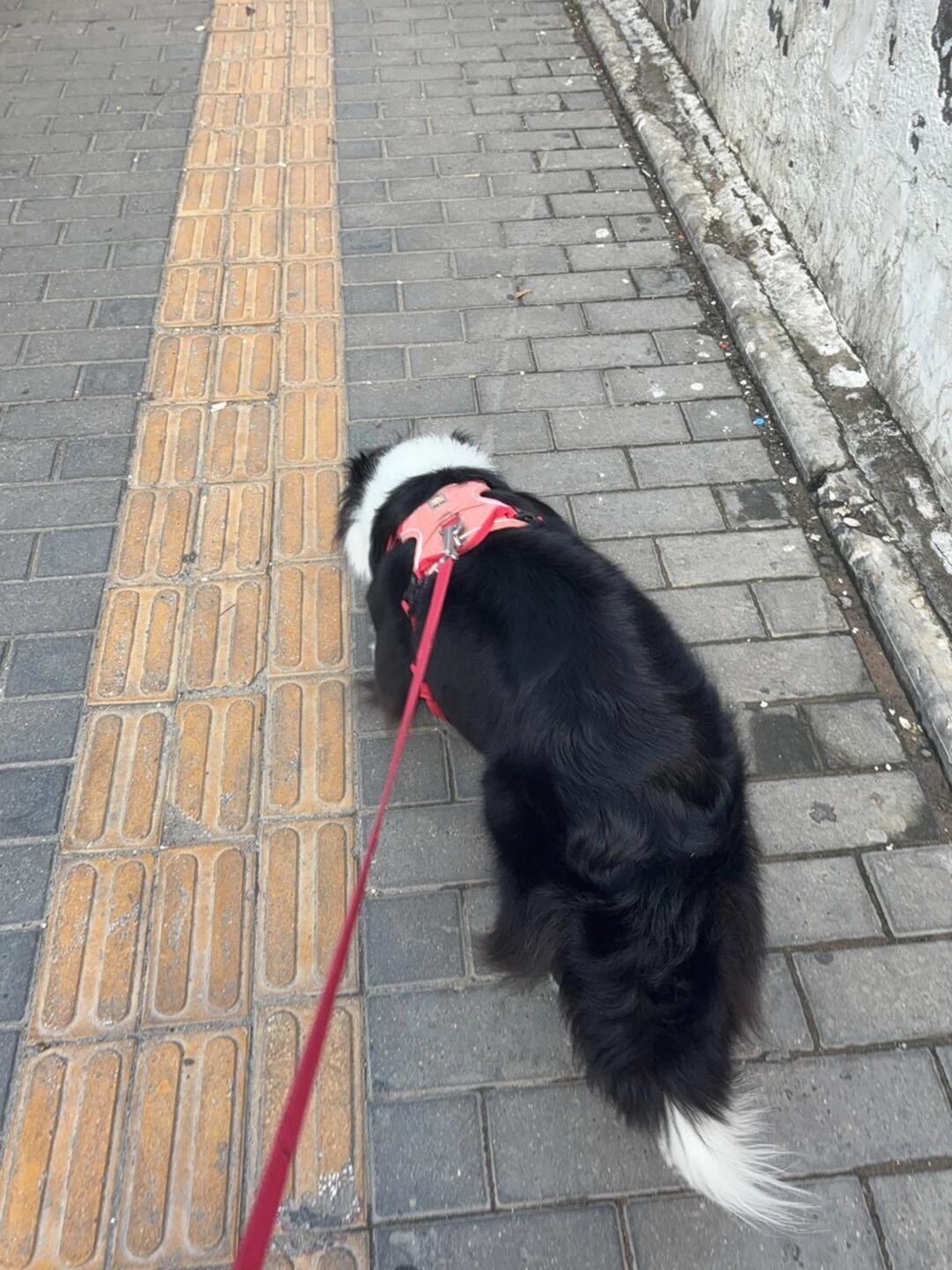 “长舌妇”出门