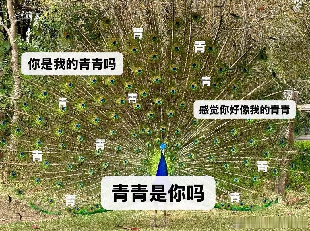 徐正溪回复孟子义感觉我的命里有你徐正溪问孟子义青春是你吗此番线上互动格外动人，徐