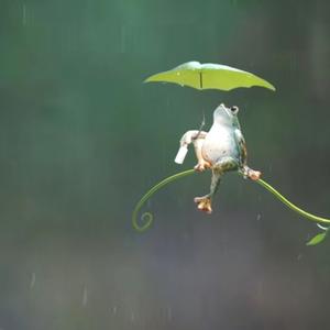 桥头快乐吹晚风
