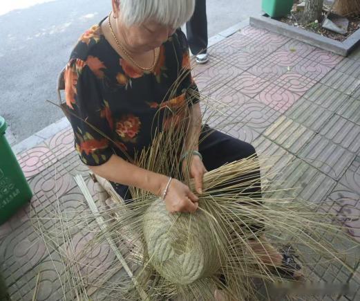 高校师生探寻临海非遗草编之美赋能乡村振兴小小草编，串联文化振兴与共同富裕。草编产