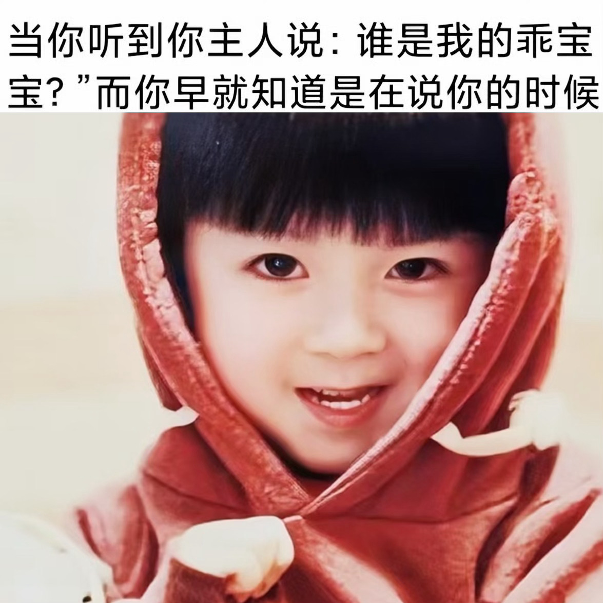 家乖宝啥时候出来呢 