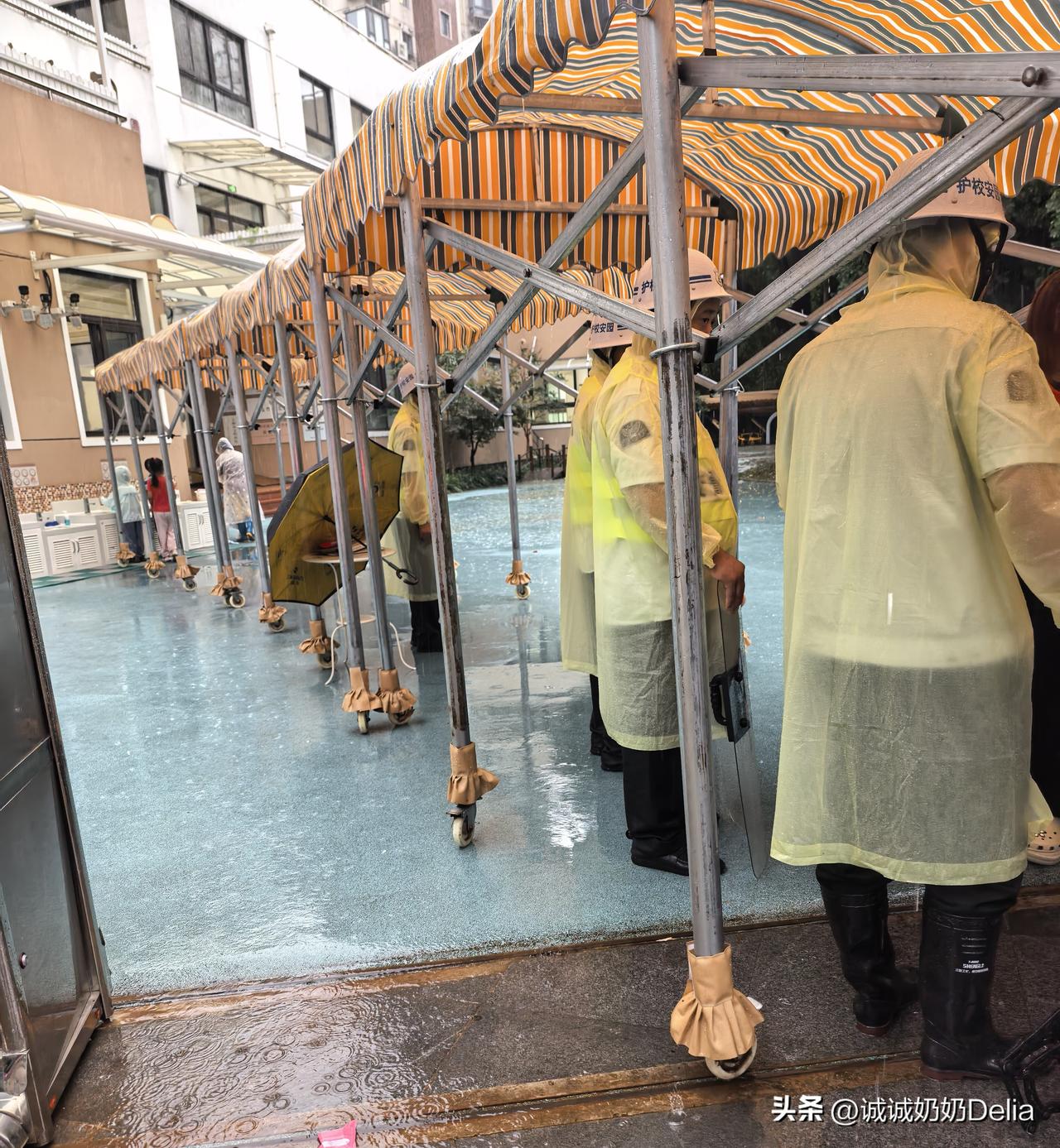 今天上海大雨，宝外婆冒雨送宝宝去了幼儿园。今天也是值得纪念的一天，我家宝宝三年的