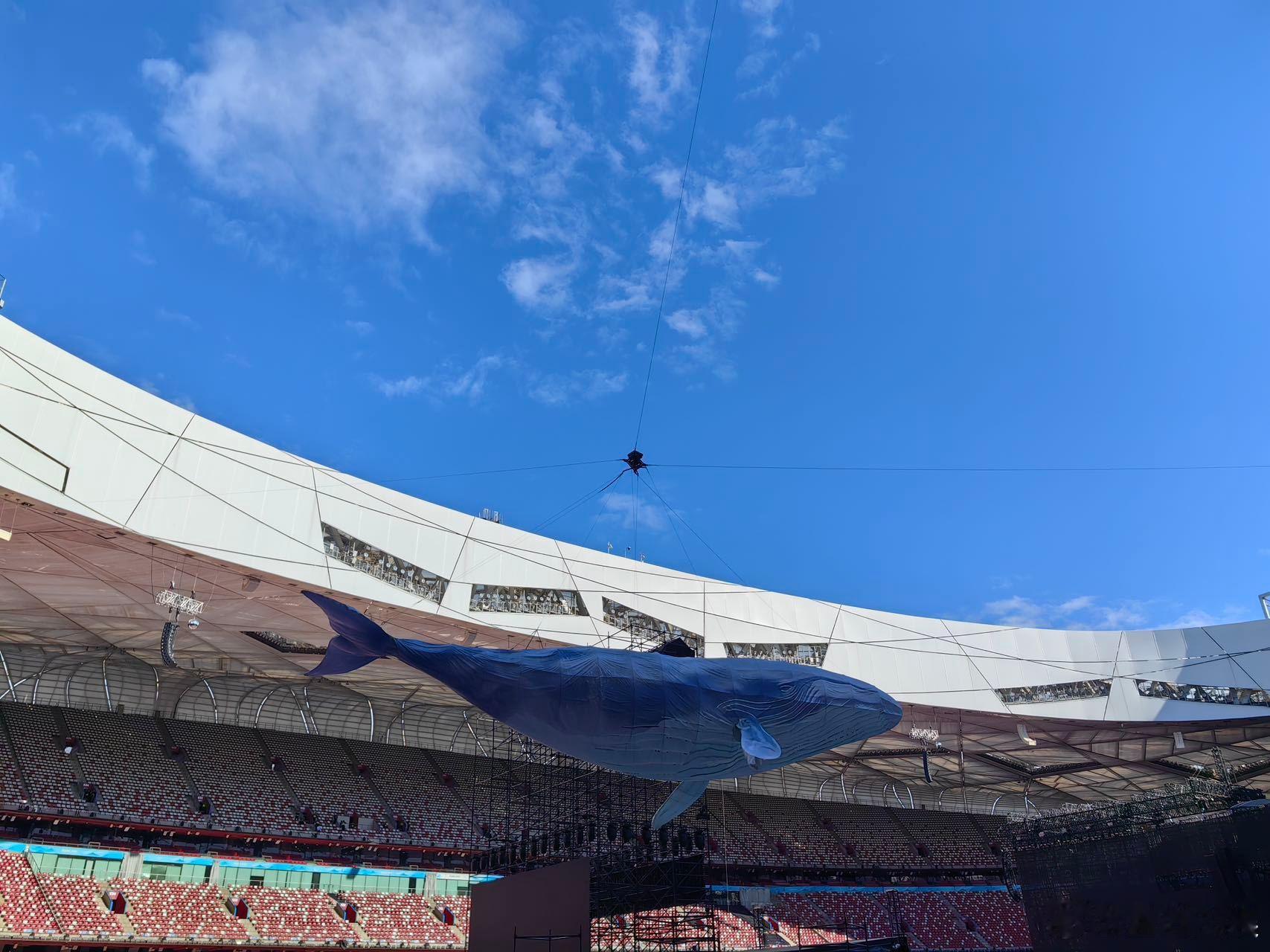 #周深把真大鱼带到了鸟巢##周深鸟巢演唱会有一只20米的大鱼#周深在鸟巢放飞梦想