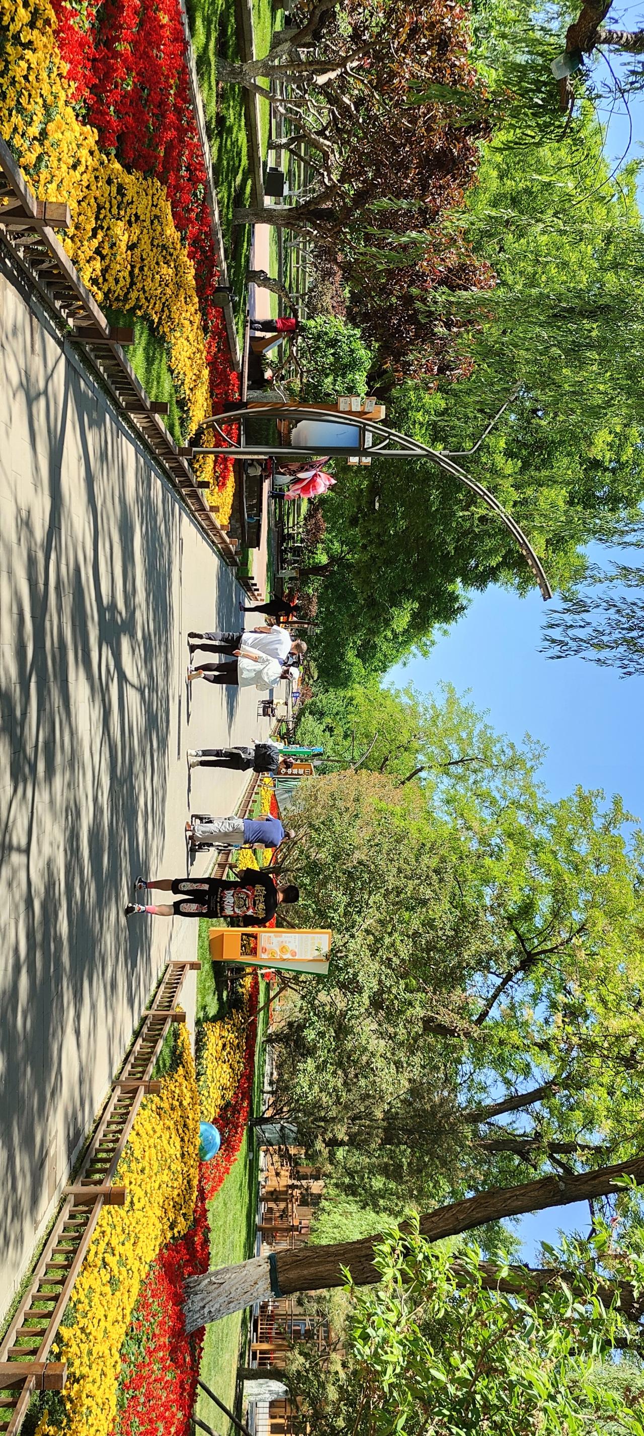 阳光明媚的公园小道，五彩缤纷的花朵盛开，漫步其中，享受美好时光。🌸🌞🍃