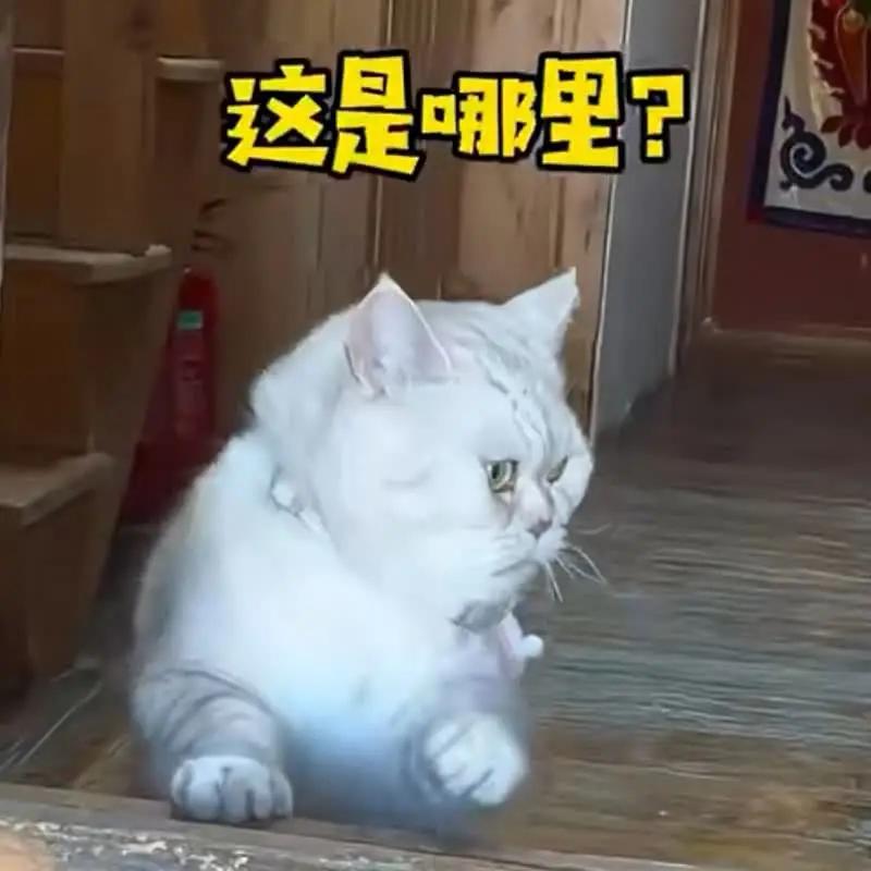 到底喷洒的是什么？颜色如此重，请有关部门出面干预。