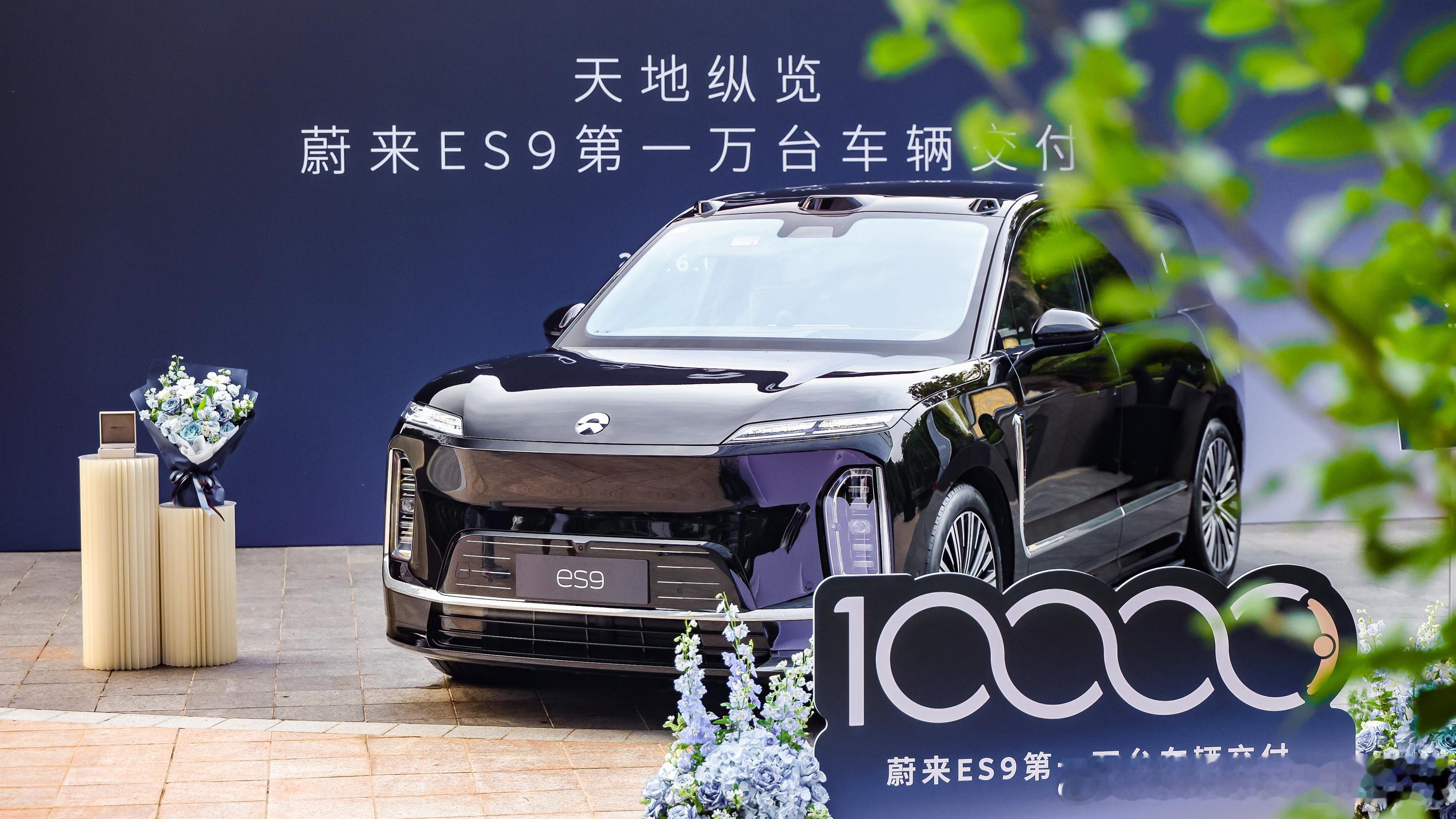 这个稳定的状态我有理由怀疑这说的是……新能源汽车大v聊车
