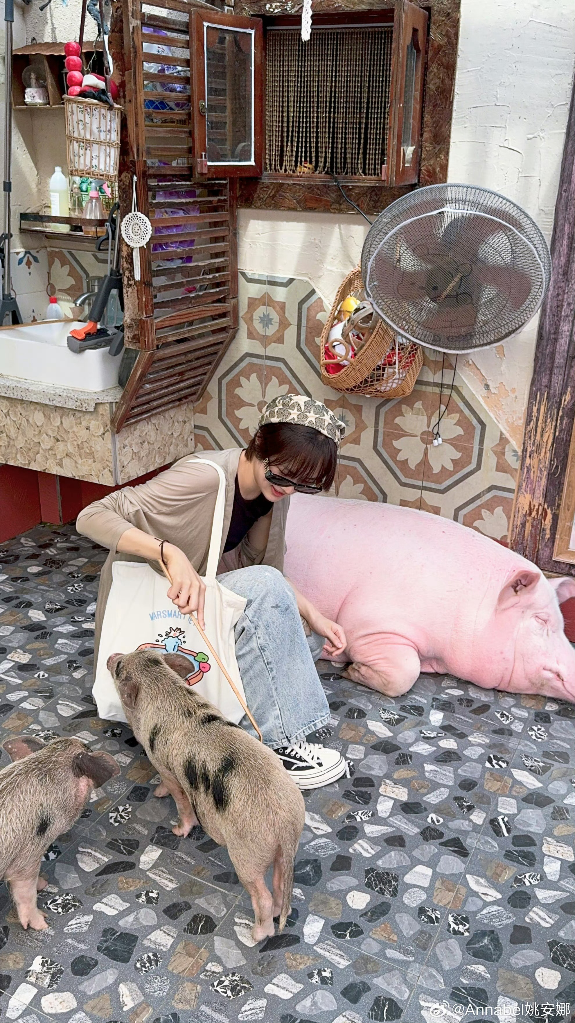 知名艺人姚安娜和宠物猪拍照合影。#姚安娜# ​​​