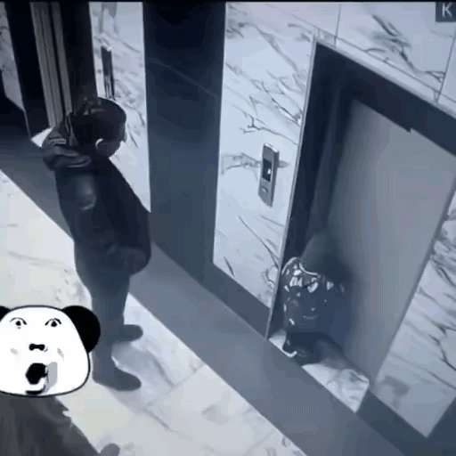 家长失职，不管是扶梯还是直梯，一定要教育孩子不要玩耍。