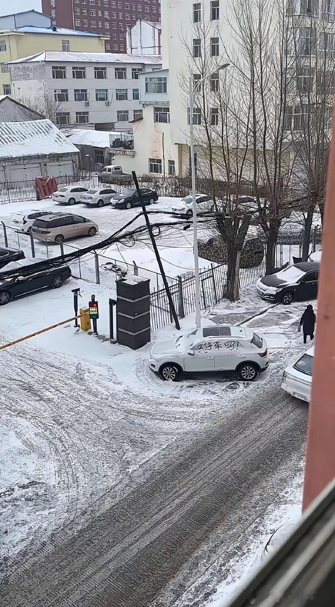 车若初见车上的雪说明了一切