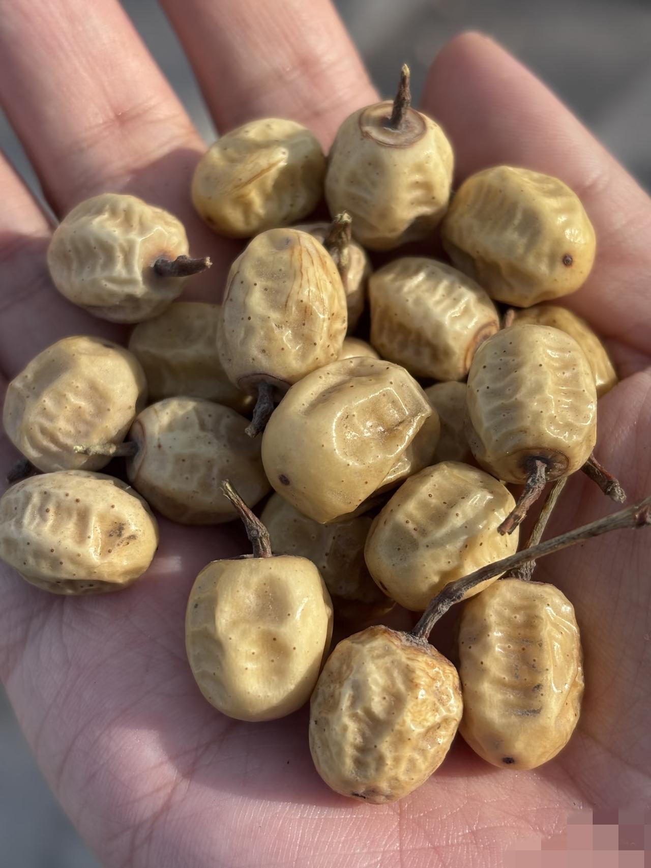 我敢打赌！99%的城里人都不知道这是什么果，只有真正在农村生活过的人才叫得出来它